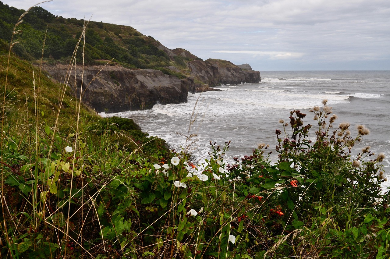 Robin Hood's Bay coastline